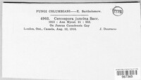 Image Associated With the Occurence